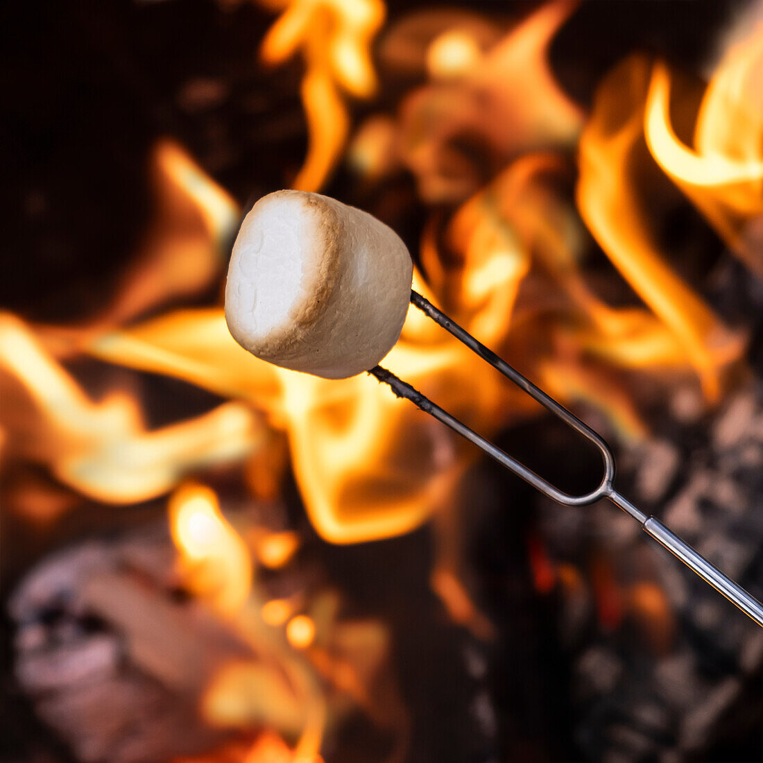 Close-up of marshmallow at bonfire