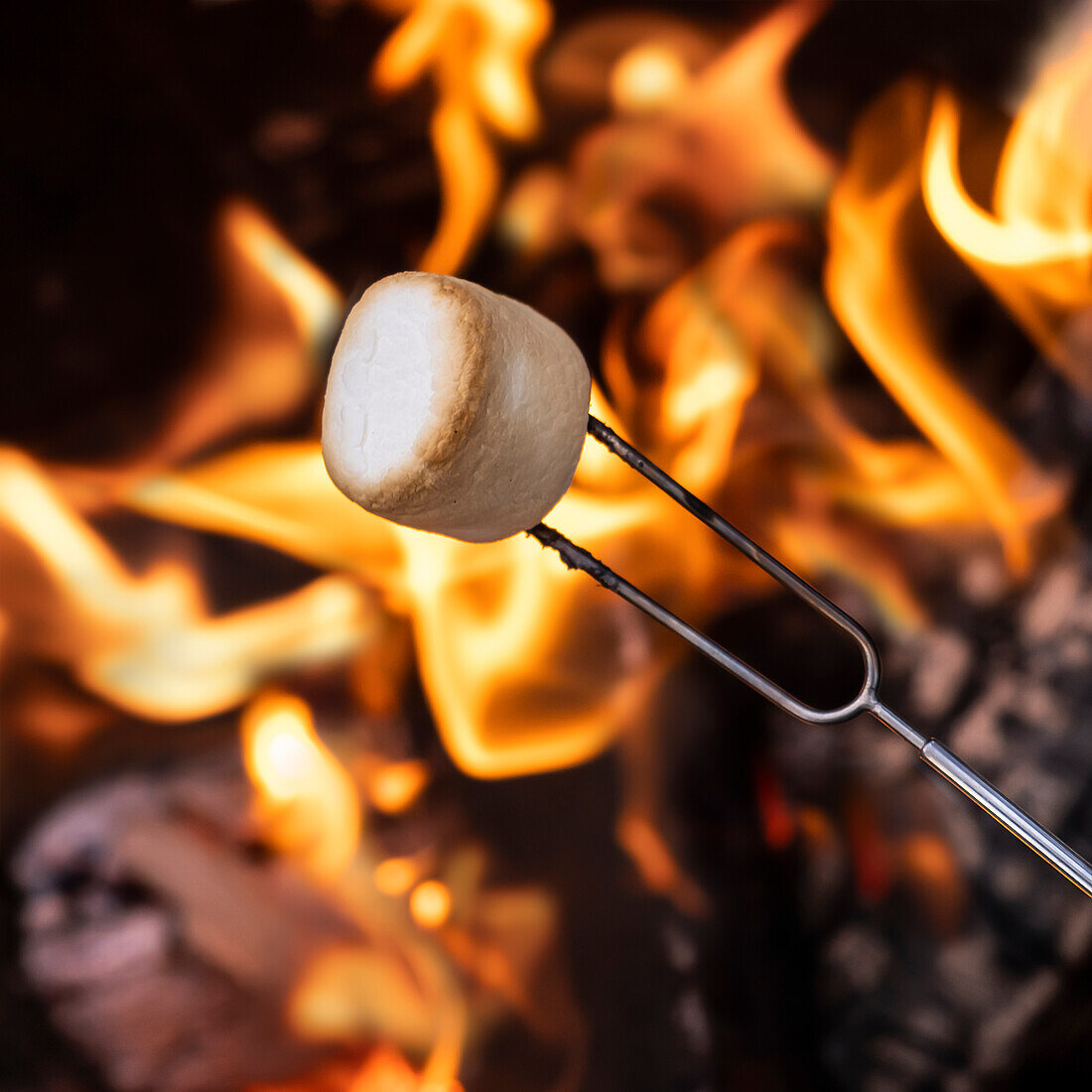 Nahaufnahme eines Marshmallows am Lagerfeuer