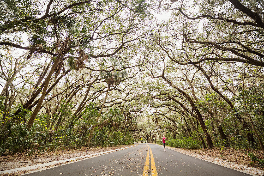 Vereinigte Staaten, Florida, Tampa, Frau joggt auf baumbestandener Landstraße