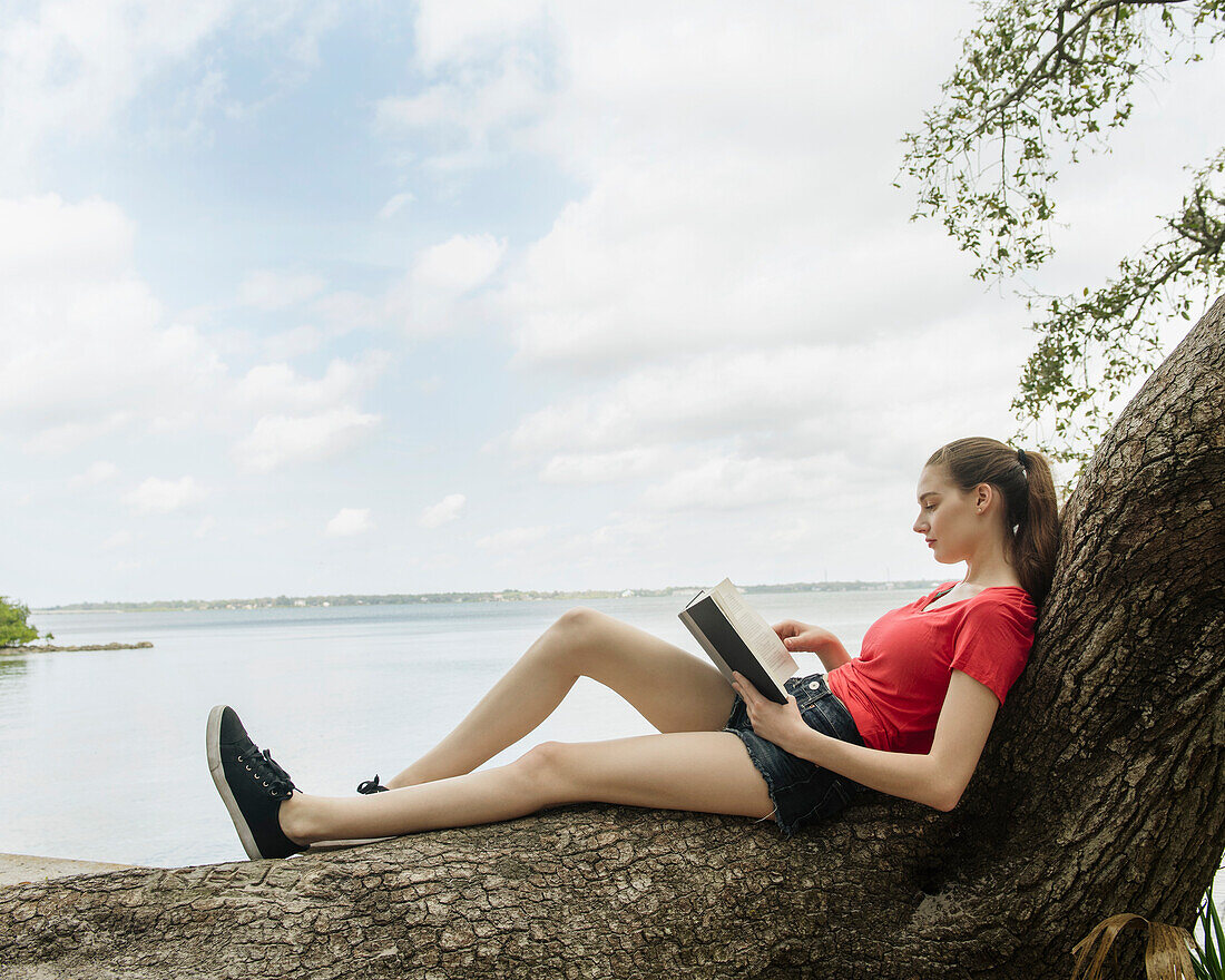 Frau sitzt auf einem Baum und liest ein Buch