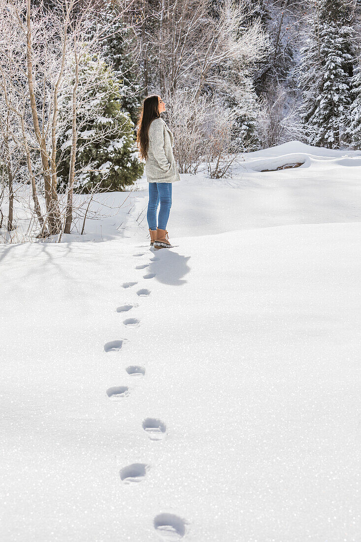 Woman standing in Winter landscape