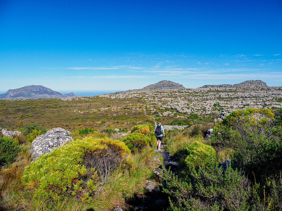Südafrika, Westkap, Kapstadt, Ältere Frau beim Wandern an einem sonnigen Tag