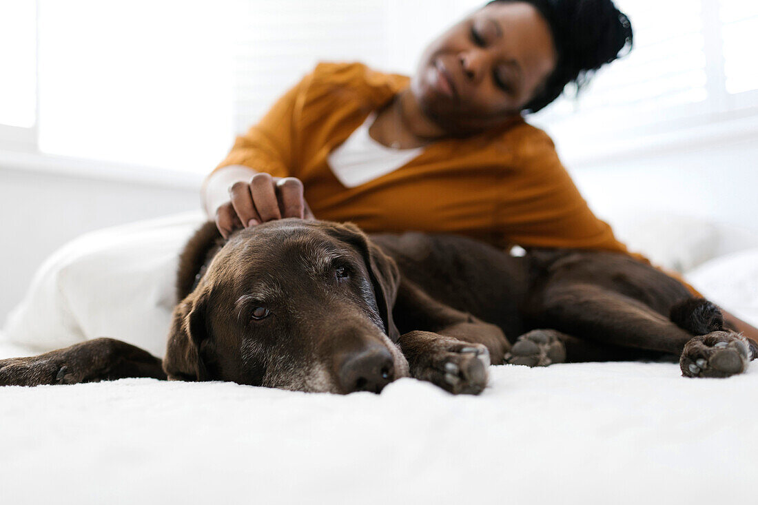 Woman petting dog at home