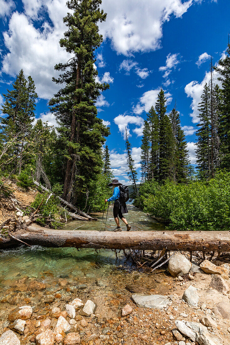 USA, Idaho, Stanley, Wanderin überquert umgestürzten Baum über Bach in der Nähe von Sun Valley