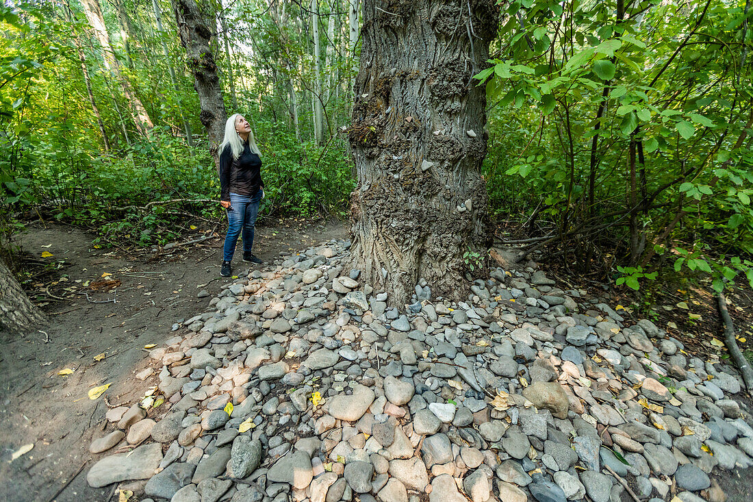 USA, Idaho, Hailey, Woman looking at tree surrounded with heart shaped stones in Draper Reserve