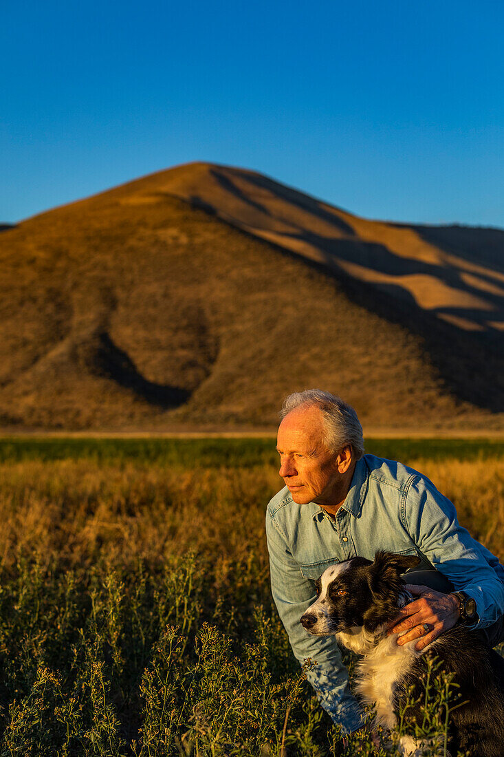 USA, Idaho, Bellevue, Senior man with border collie in field at sunset