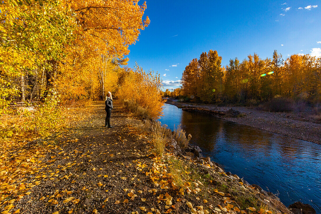 USA, Idaho, Bellevue, Senior woman walking along Big Wood river in Autumn