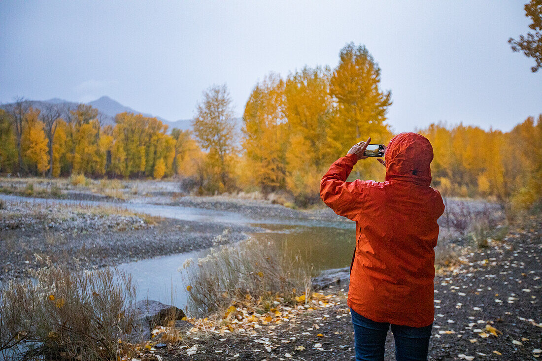 USA, Idaho, Bellevue, Rückansicht einer Frau, die mit ihrem Smartphone den Big Wood River und gelbe Herbstbäume fotografiert