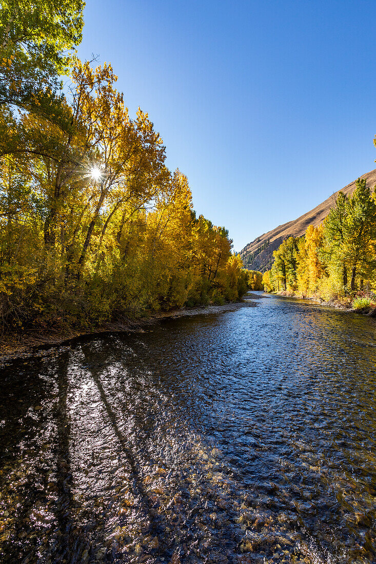 USA, Idaho, Hailey, Big Wood River in fall