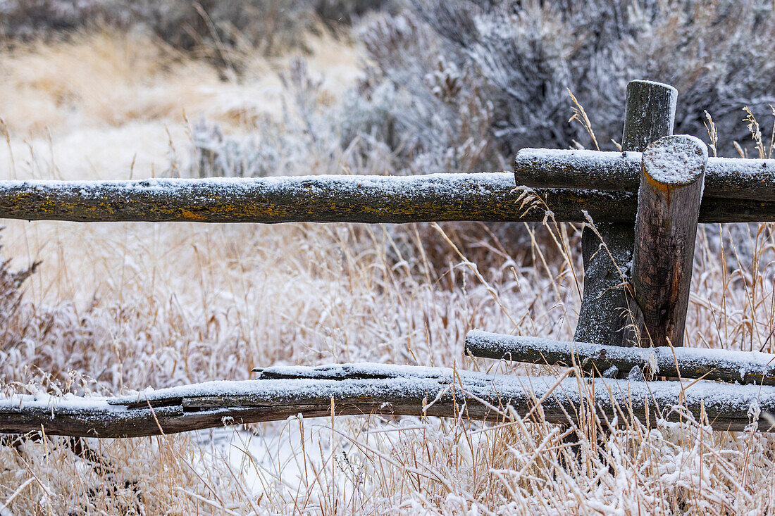 USA, Idaho, Bellevue, Fresh snow on old rail fence 