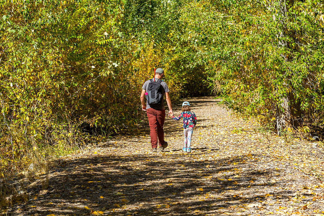 USA, Idaho, Bellevue, Father and daughter (6-7) walk rural path in fall