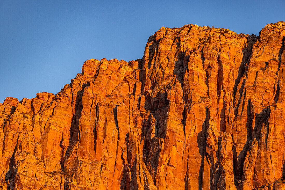 USA, Utah, Springdale, Red cliffs at sunset in Zion National Park