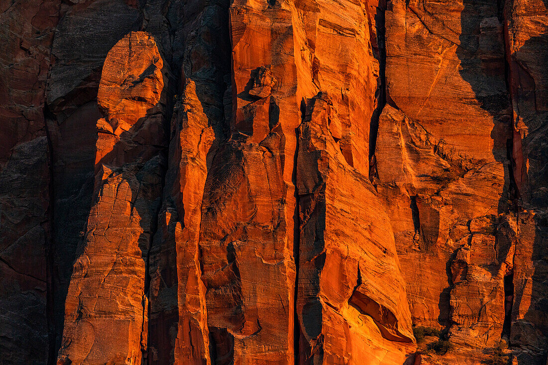 United States, Utah, Zion National Park, Sunset on red cliffs