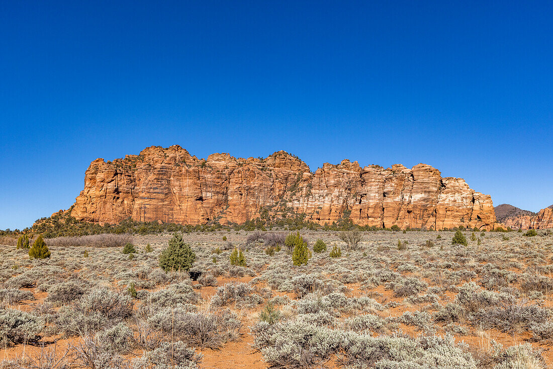 Vereinigte Staaten, Utah, Zion National Park, Sandstein-Felsformation