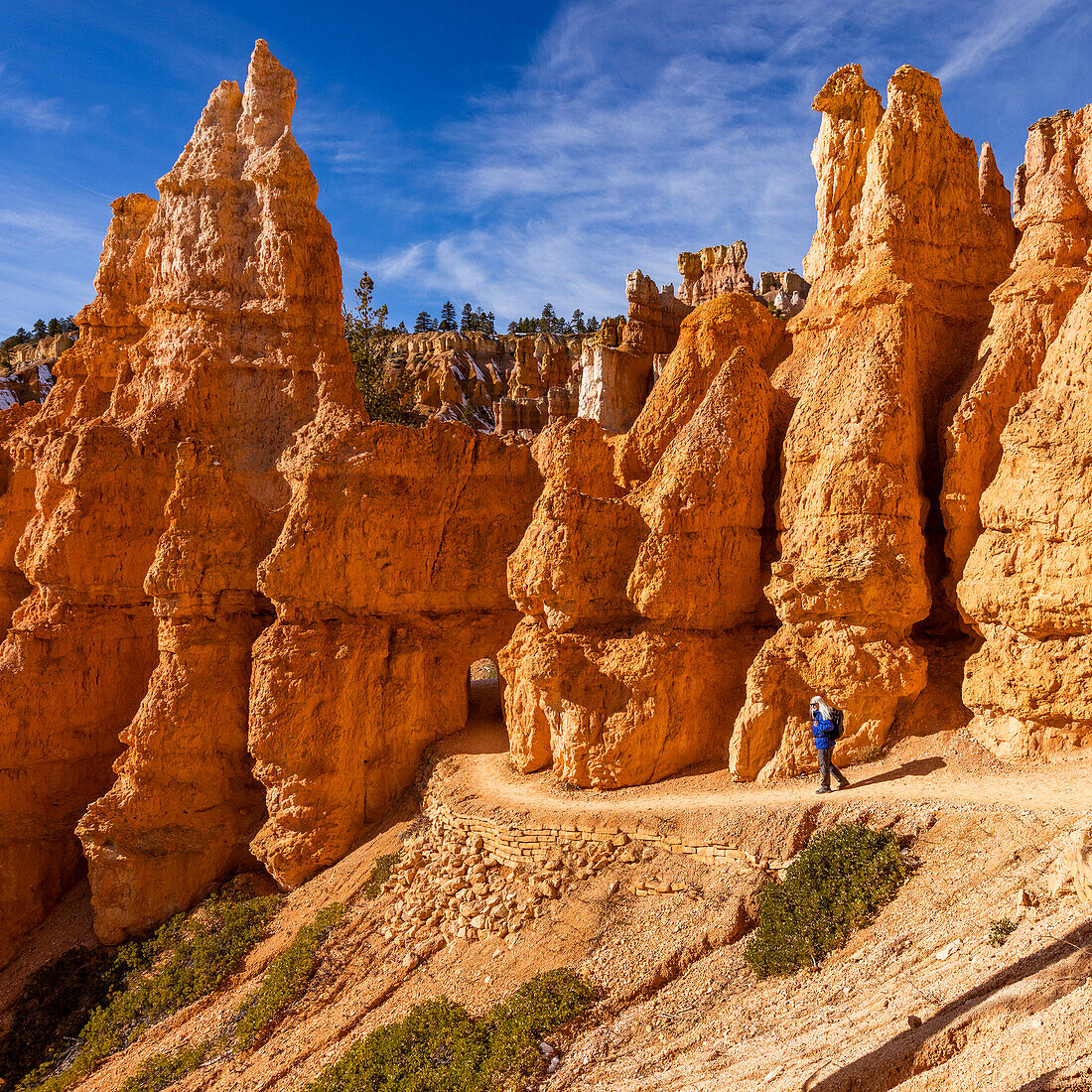 United States, Utah, Bryce Canyon National Park, Senior blonde woman hiking