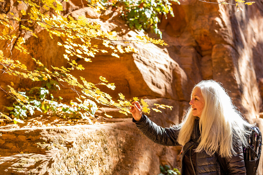 United States, Utah, Zion National Park, Senior blond woman looking at rock