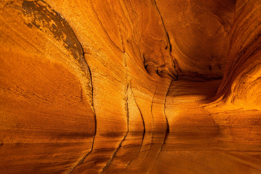 United States, Utah, Zion National Park, Patterns on sandstone rocks