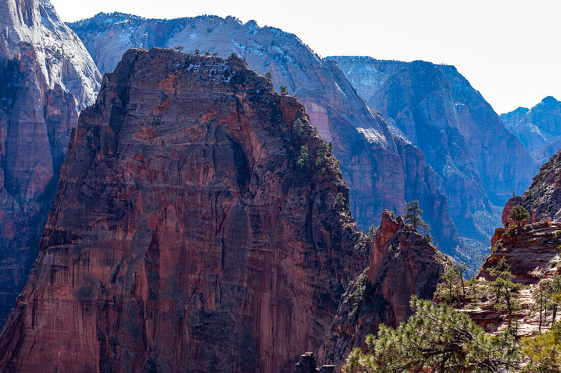 United States, Utah, Zion National Park, Mountain peak