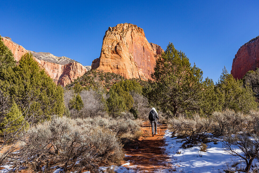 United States, Utah, Zion National Park, Senior blonde woman hiking