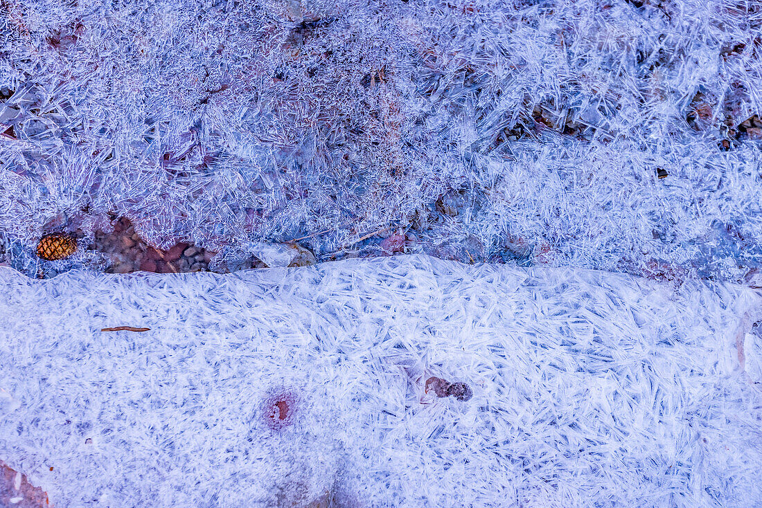 Frozen creek in winter in Zion National Park