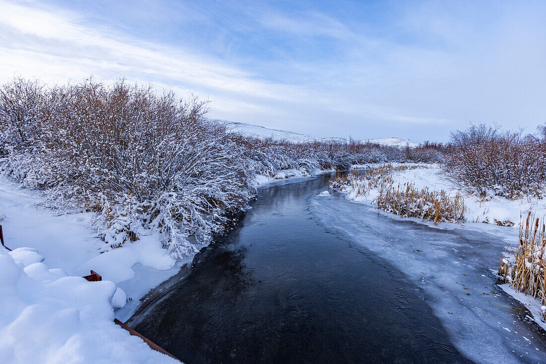 United States, Idaho, Bellevue, Icy spring creek in winter
