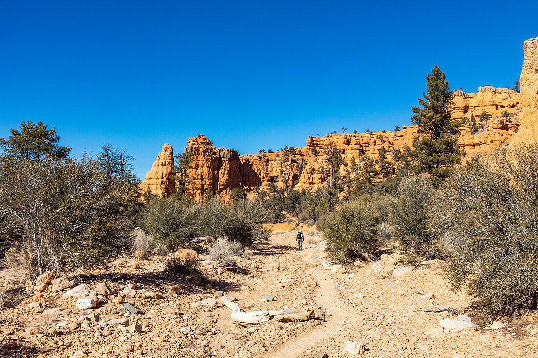 United States, Utah, Escalante, Senior hiker walking in rocky landscape