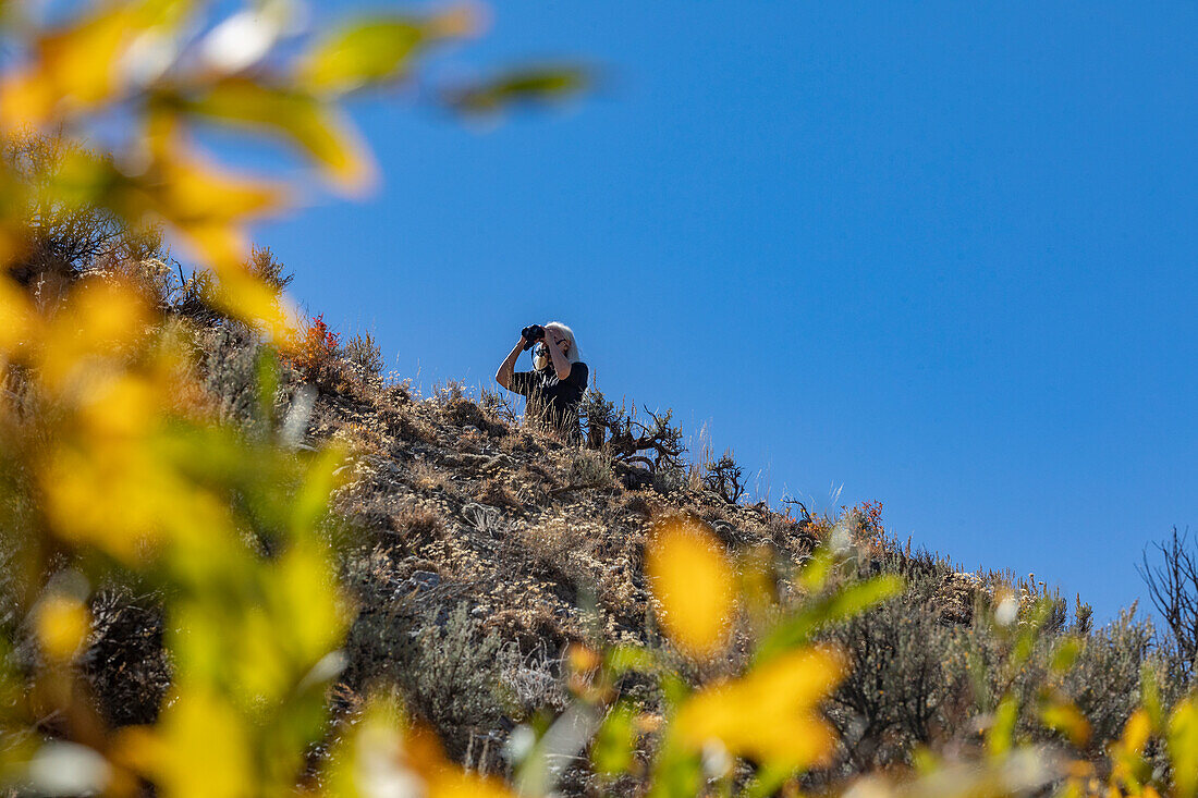 USA, Idaho, Sun Valley, Frau mit Fernglas auf der Suche nach Wildtieren 