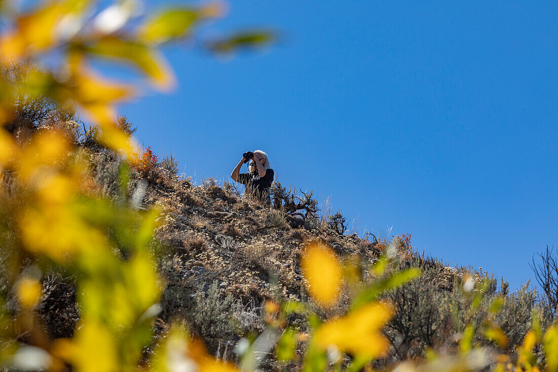 USA, Idaho, Sun Valley, Woman using binoculars to search for wildlife 