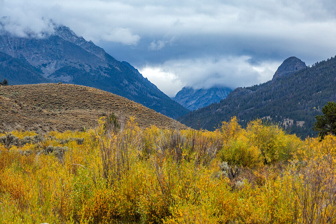 USA, Idaho, Sun Valley, Herbstlaub und Gewitterwolken in der Wildnis