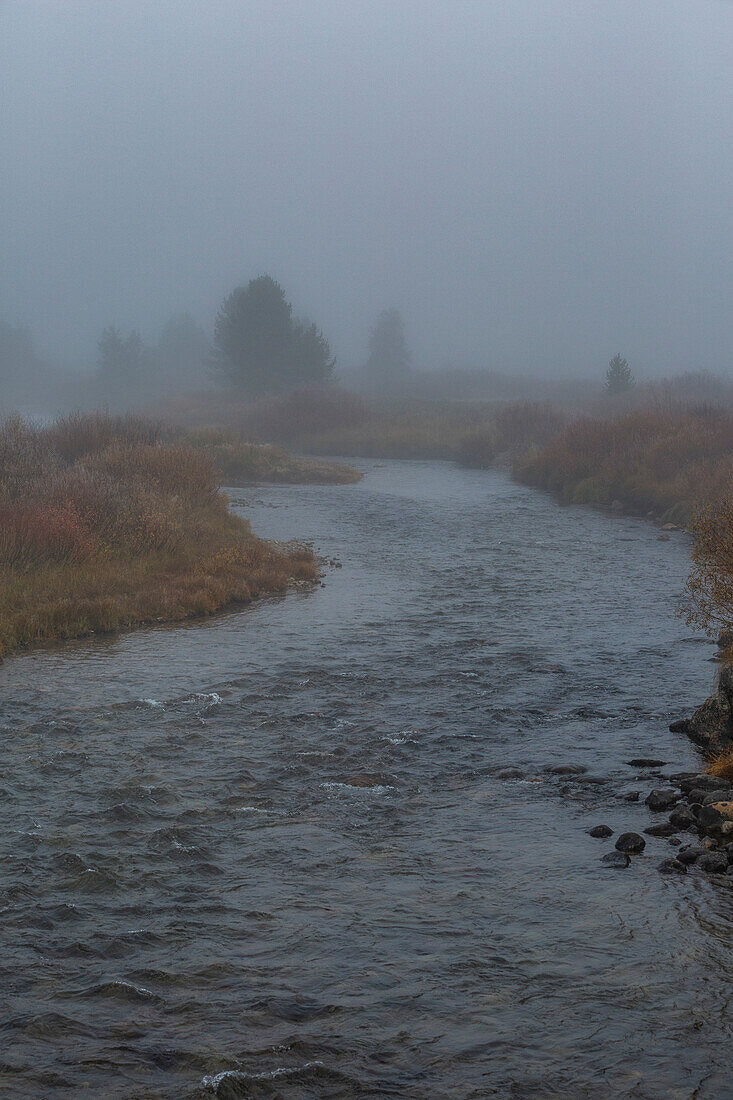 USA, Idaho, Stanley, Bach fließt an einem nebligen Morgen durch eine Wiese