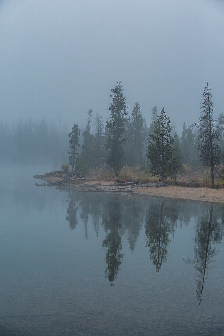 USA, Idaho, Stanley, Foggy lake shoreline 