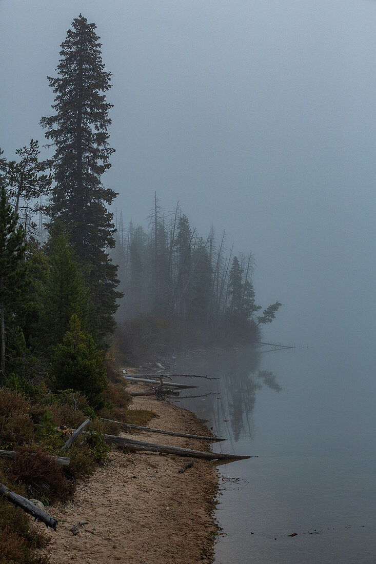 USA, Idaho, Stanley, Foggy lake shoreline in mountains 