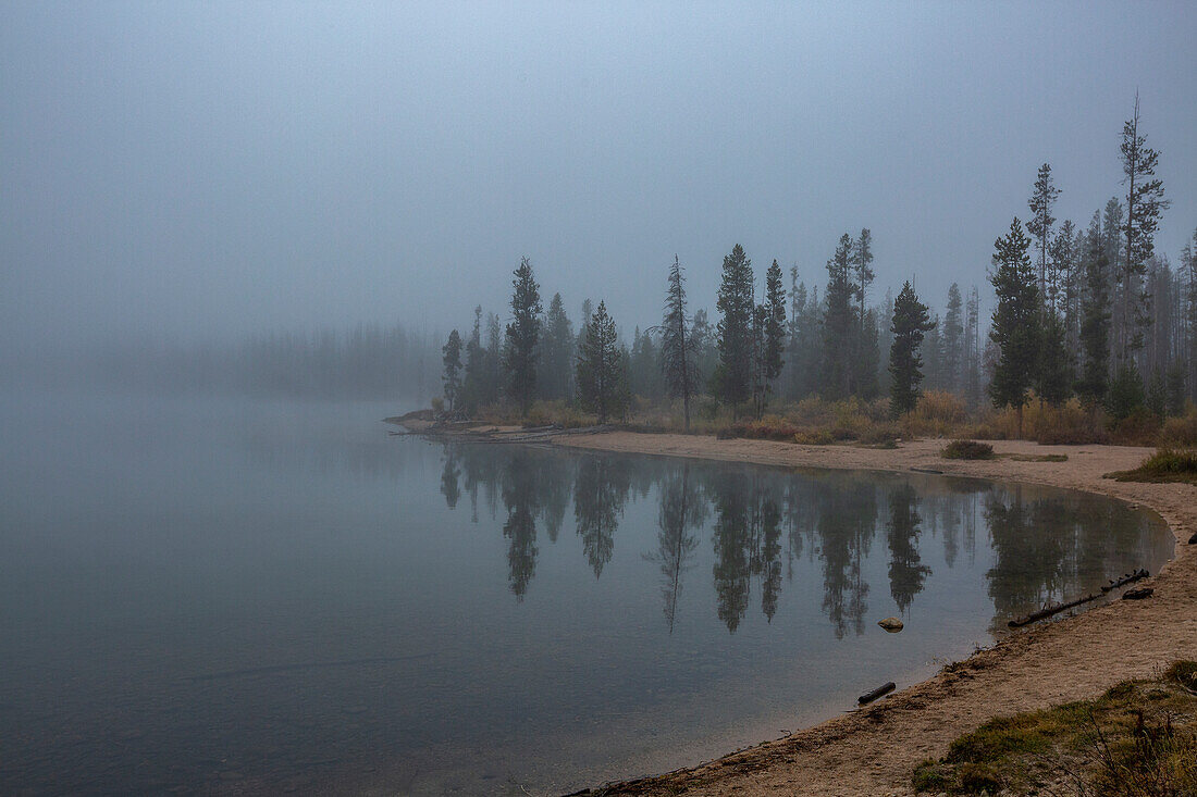 USA, Idaho, Stanley, Wald entlang eines Sees in den Bergen 