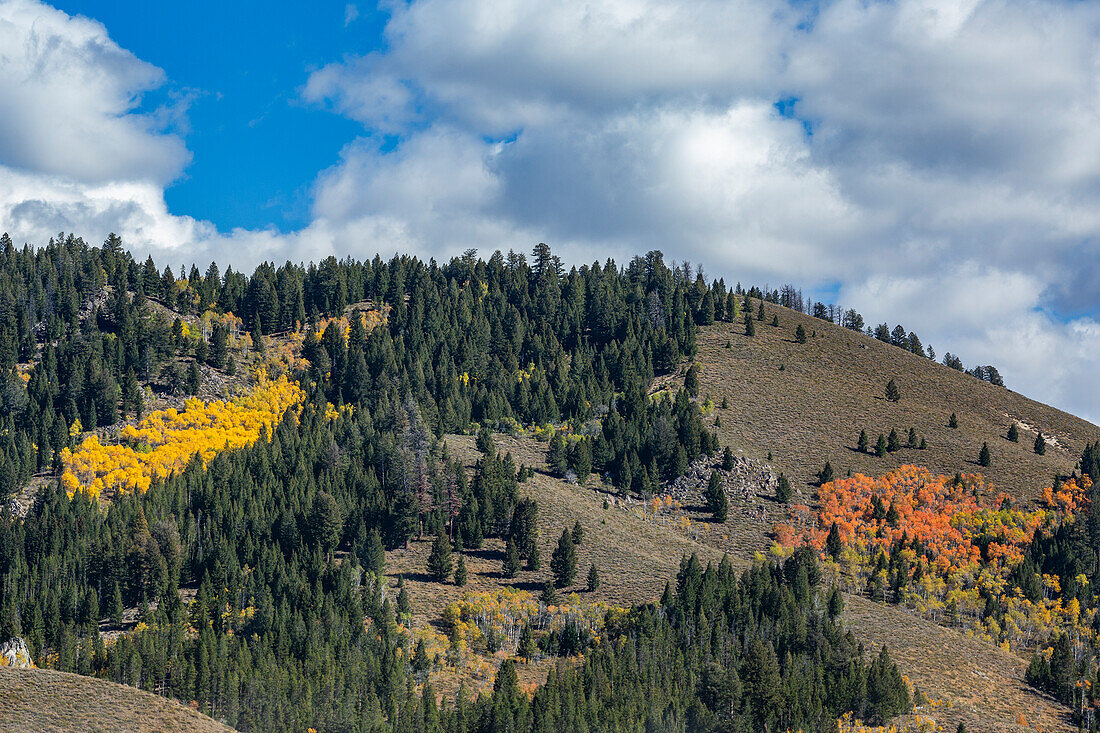 USA, Idaho, Stanley, Fall in mountains