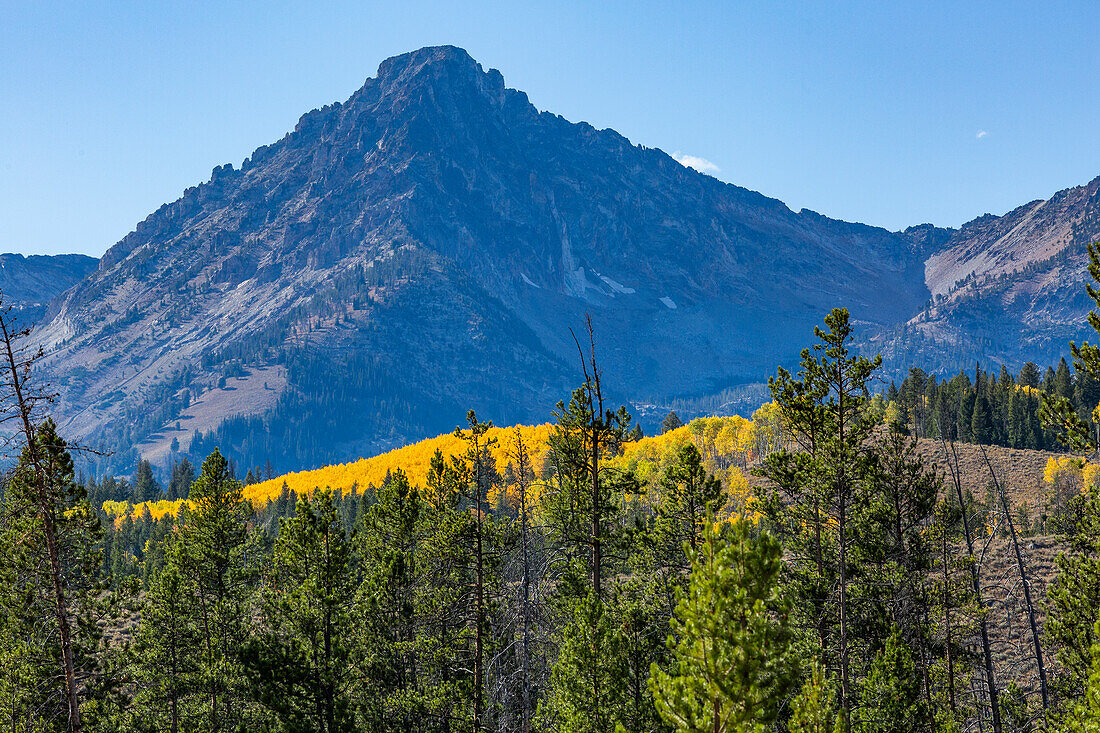USA, Idaho, Stanley, Scenic mountain in autumn 