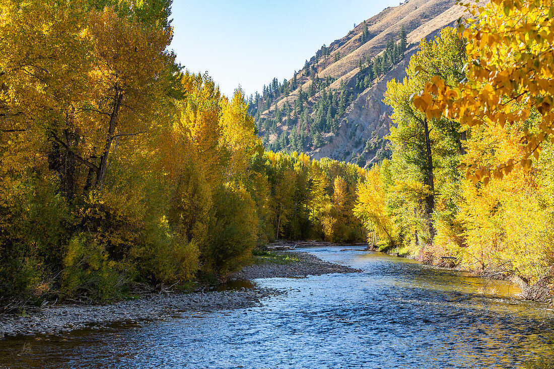 USA, Idaho, Hailey, Big Wood Fluss im Herbst