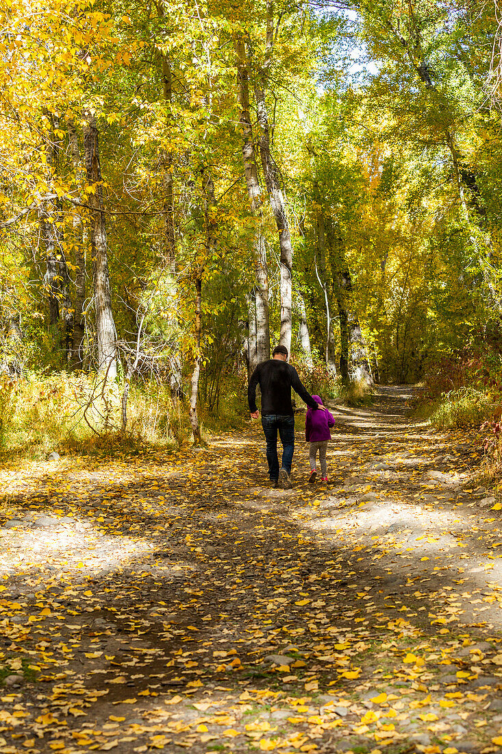 USA, Idaho, Hailey, Vater und Tochter (6-7) gehen im Herbst durch den Wald