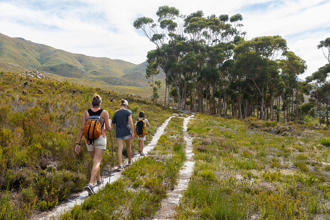 South Africa, Stanford, Woman with girl (16-17) and boy (8-9) hiking in Phillipskop Nature Reserve