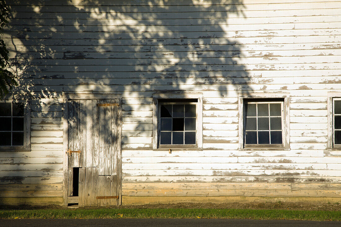 United States, Maryland, Shadow of tree on barn side