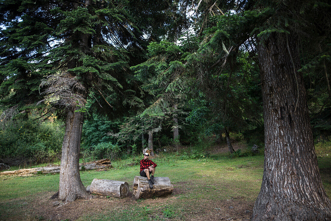 Switzerland, Swiss Alps, Appenzell, Man sitting on log between pine trees