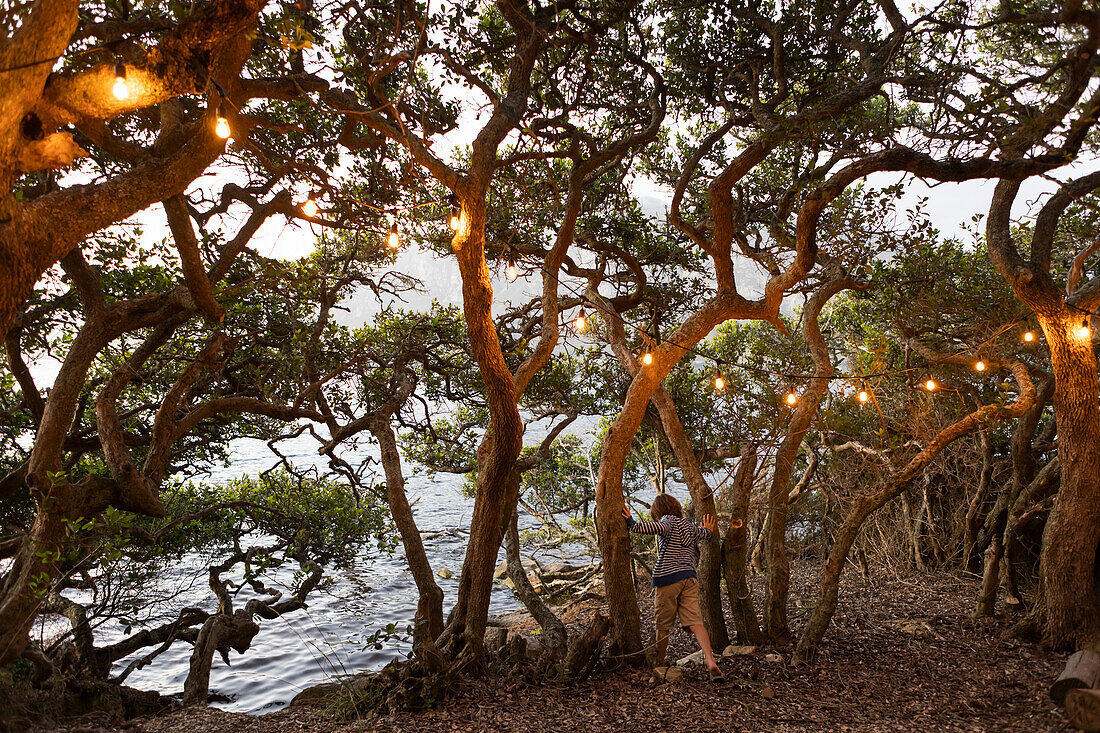 Boy (10-11) standing among trees at lagoon