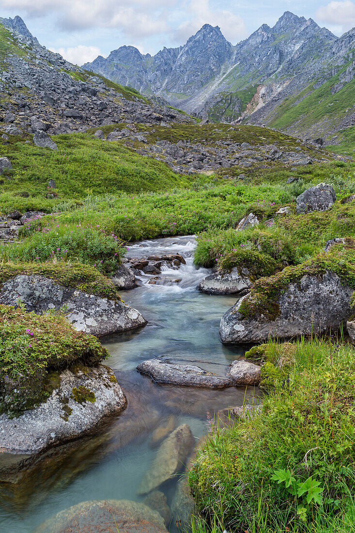 USA, Alaska, Talkeetna-Berge. Landschaft mit Archangel Creek
