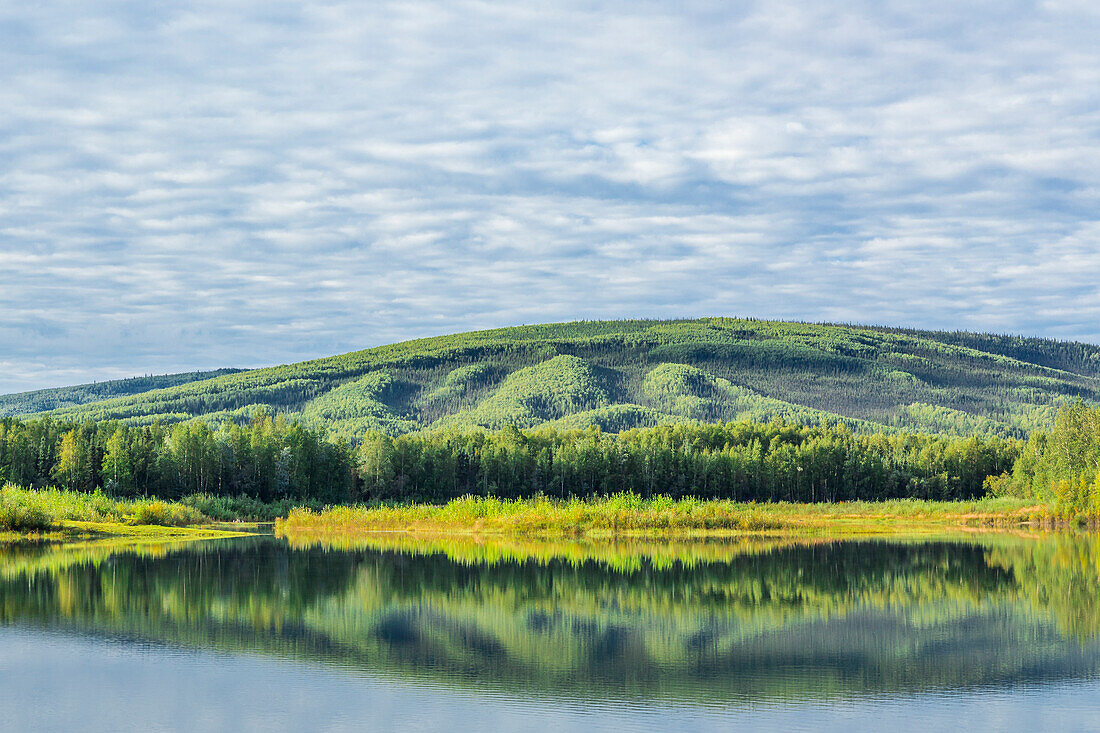 USA, Alaska, Olnes Pond. Landscape with pond reflection