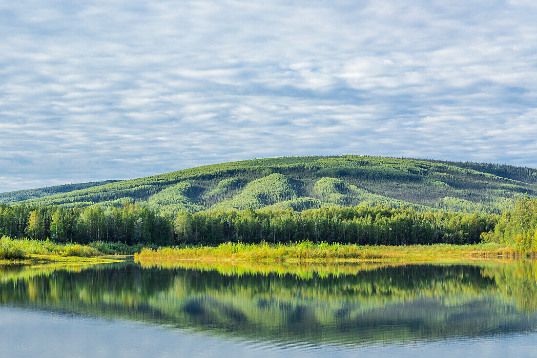 USA, Alaska, Olnes-Teich. Landschaft mit Teichreflexion