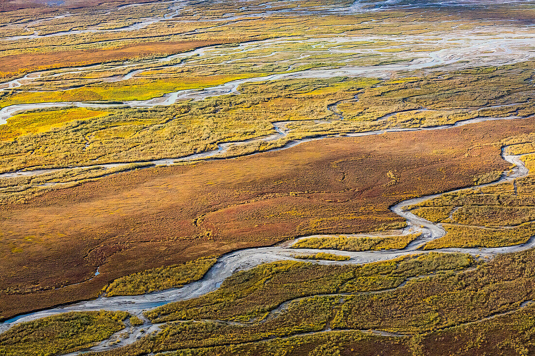 USA, Alaska, Brooks Range, Arctic National Wildlife Refuge. Aerial of braided river and tundra