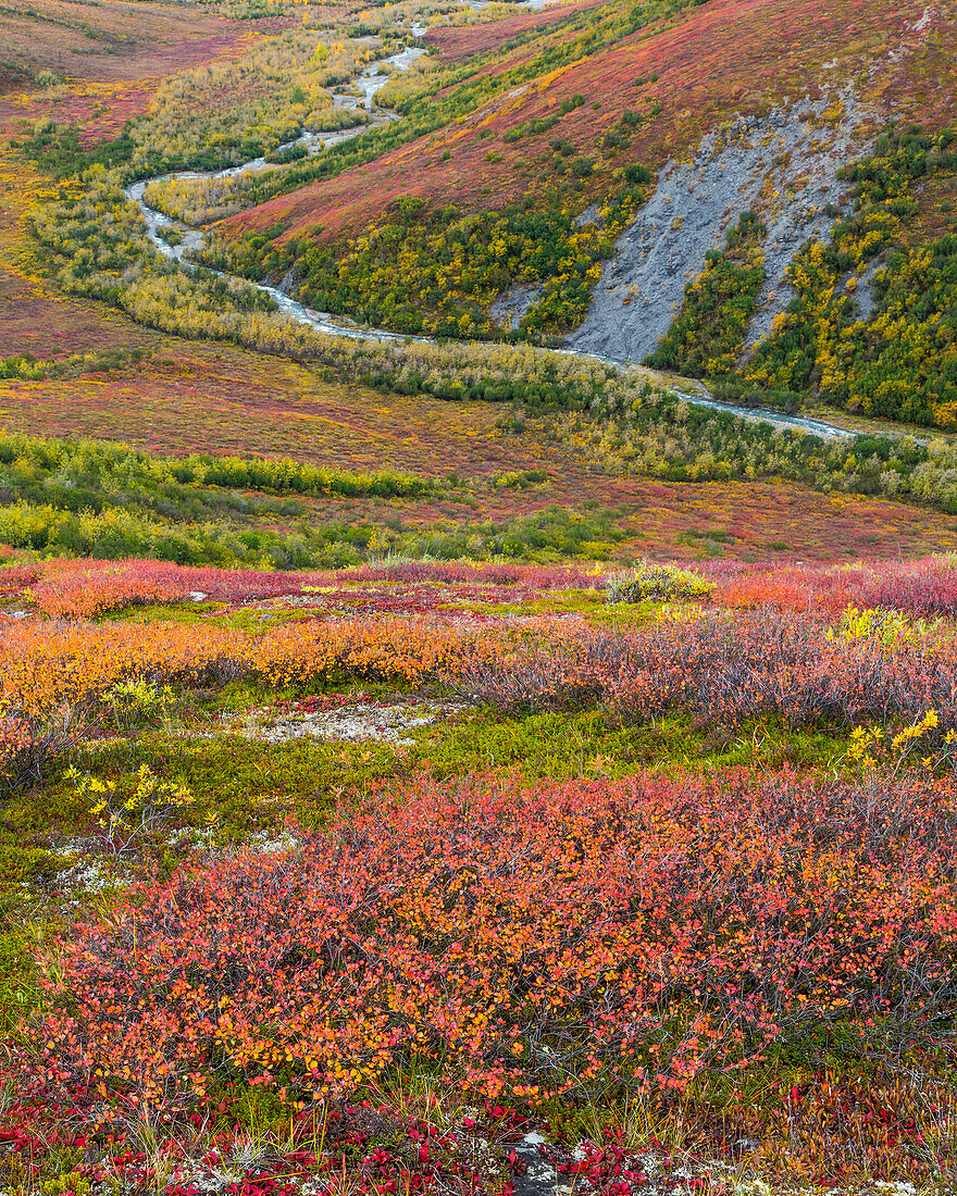 USA, Alaska, Brooks Range. Tundra and Dietrich River