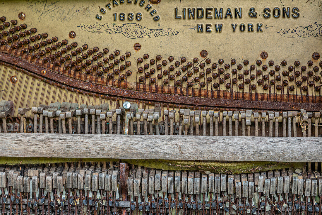 USA, Alaska, Sitka. Discarded Lindeman and Sons piano close-up