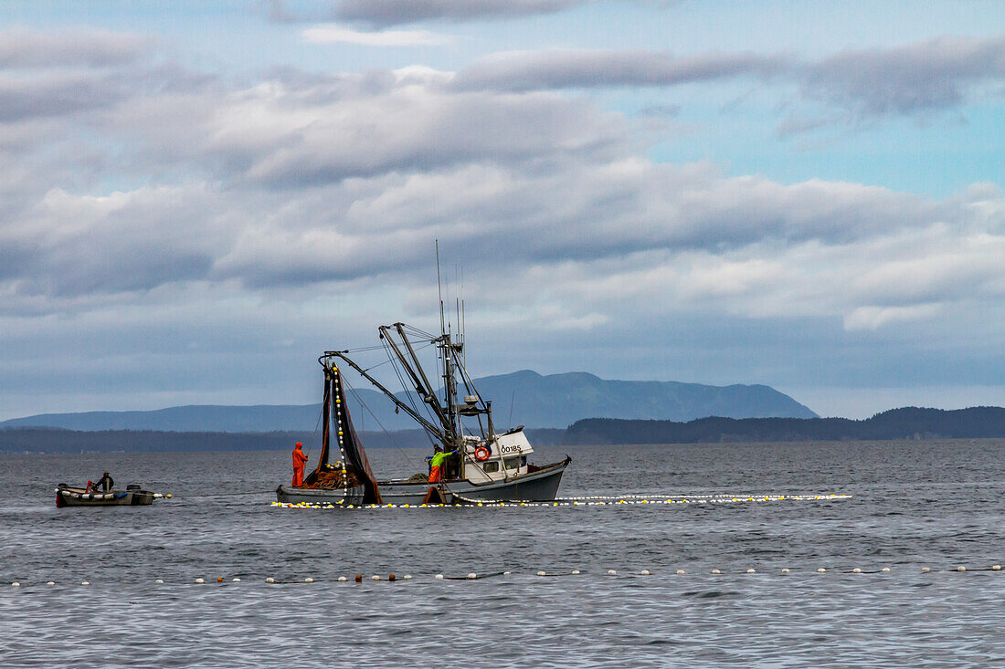 USA, Alaska, Kodiak, Chiniak Bay. Kommerzieller Lachsfang in der Nähe eines Strandes auf Kodiak Island.