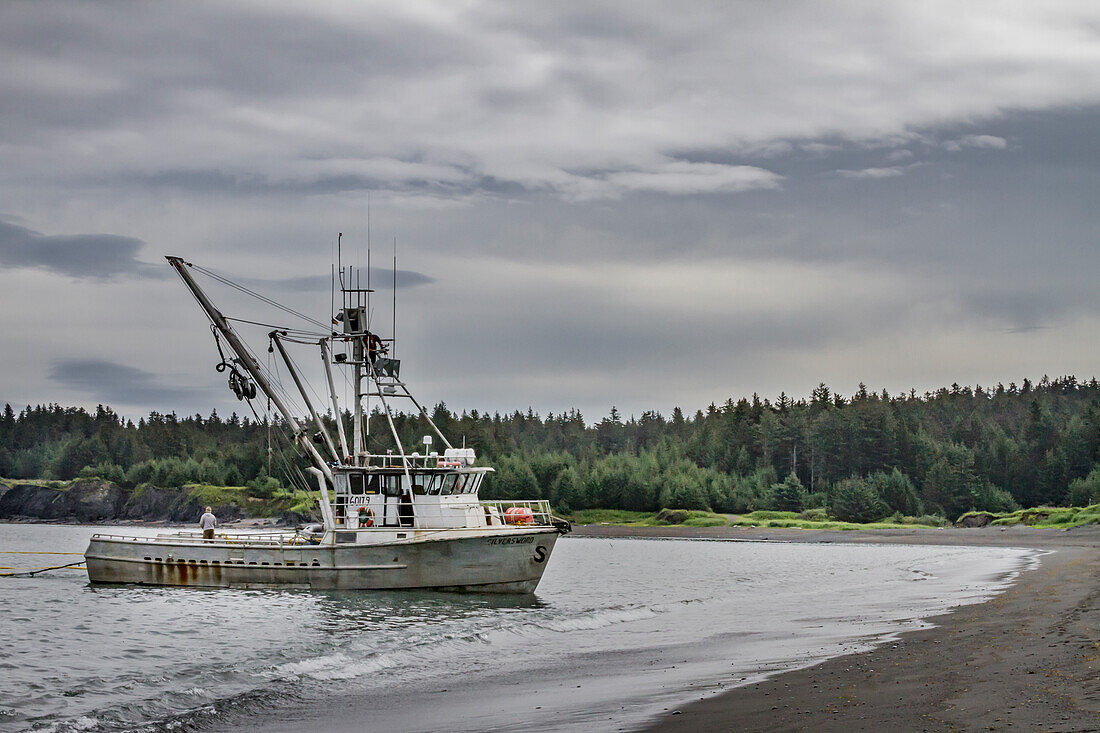 USA, Alaska, Kodiak, Chiniak Bay. Commercial fishing for salmon near a beach on Kodiak Island.