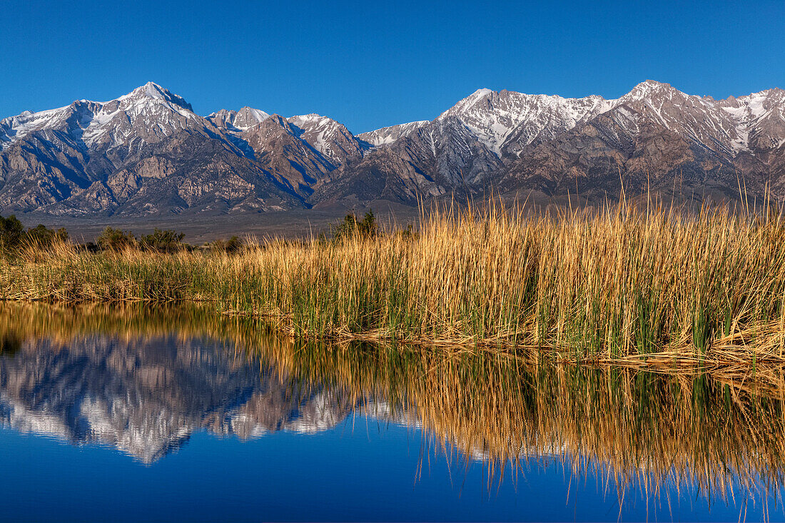 USA, Kalifornien, Sierra Nevada Gebirge. Berge spiegeln sich im Billy Lake